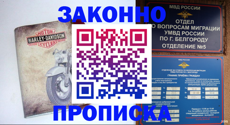 прописка для школы в Рудне